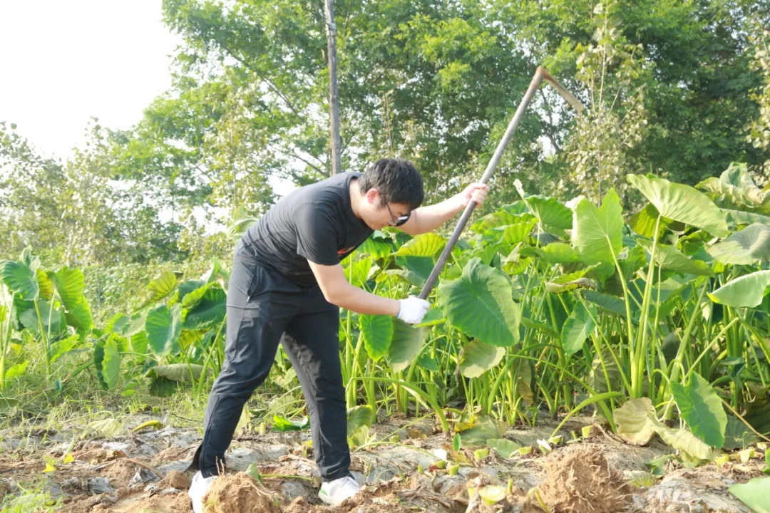 1631586948751024.jpg 5.webp.jpg