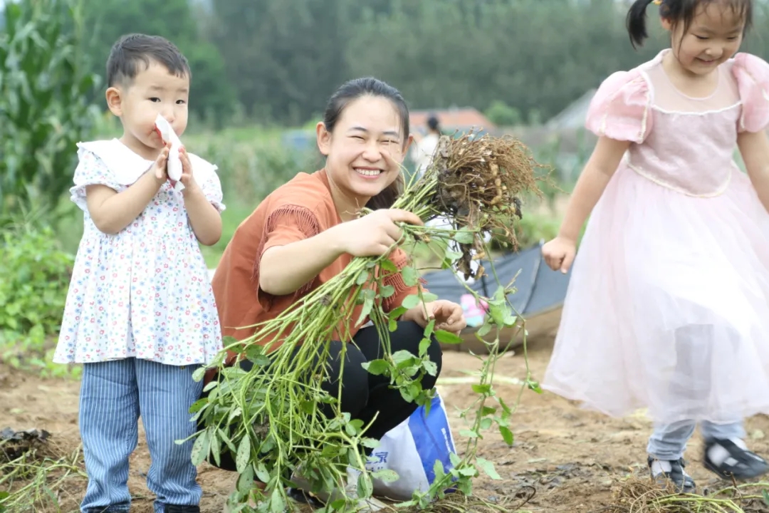 1631587048636296.jpg 9.webp.jpg